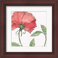 Framed Blossom Sketches IV Color