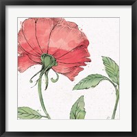 Blossom Sketches IV Color Framed Print