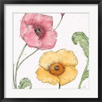 Framed Blossom Sketches I Color