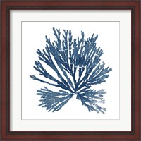 Framed Pacific Sea Mosses Blue on White II