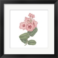 Monument Etching Tile Flowers VI Framed Print