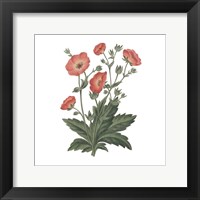 Monument Etching Tile Flowers V Framed Print