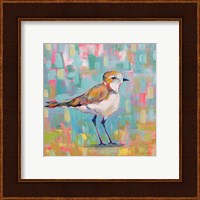 Framed 'Coastal Plover III' border=