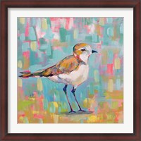 Framed Coastal Plover III