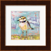 Framed 'Coastal Plover II' border=