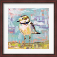 Framed Coastal Plover II