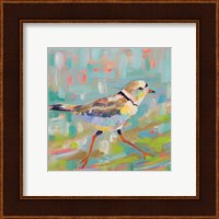 Framed 'Coastal Plover I' border=