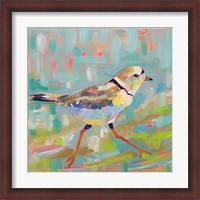 Framed Coastal Plover I