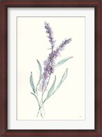 Framed Lavender IV