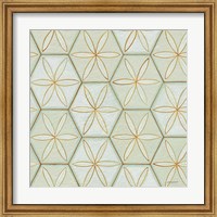 Framed Hex IV