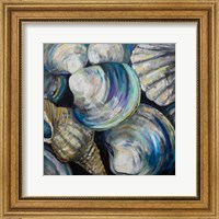 Framed Key West Shells