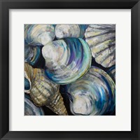 Framed Key West Shells