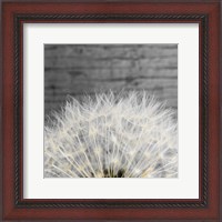 Framed Delicate Dandelion