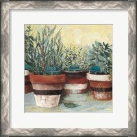 Framed Potted Herbs II Stripes Crop