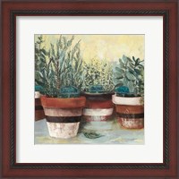 Framed Potted Herbs II Stripes Crop