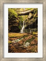 Framed Under the Bridge II