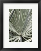 Framed Organic Palm I
