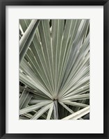 Framed Organic Palm I