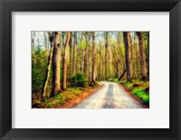 Framed Wood Path