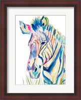 Framed Colorful Zebra