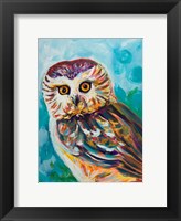 Framed Colorful Owl