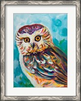 Framed Colorful Owl