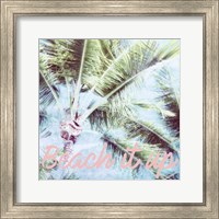 Framed Wild Palm