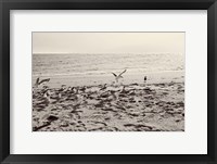 Framed Dream of the Beach II