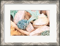 Framed Bundle of Shells II