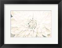 Framed Bright White Bloom I