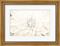 Framed Bright White Bloom I