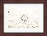 Framed Bright White Bloom I