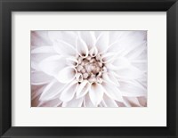 Framed Bright White Bloom II