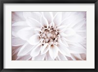 Framed Bright White Bloom II