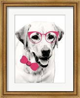 Framed Pink Pop on Pup