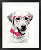 Framed Pink Pop on Pup