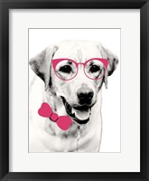 Framed Pink Pop on Pup