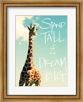 Framed Stand Tall And Dream Big