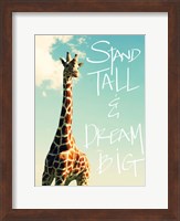 Framed Stand Tall And Dream Big