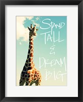 Framed Stand Tall And Dream Big