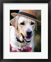 Framed Dapper Dog