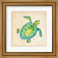 Framed Sealife Turtle
