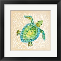 Framed Sealife Turtle