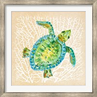 Framed Sealife Turtle