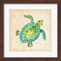 Framed Sealife Turtle