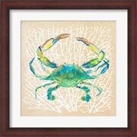 Framed Sealife Crab