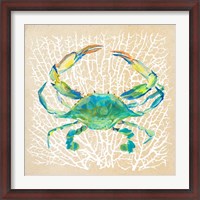 Framed Sealife Crab