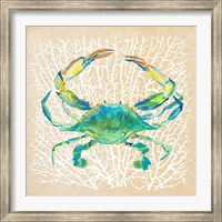 Framed Sealife Crab