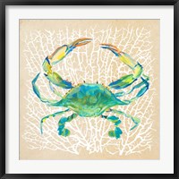 Framed Sealife Crab