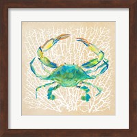 Framed Sealife Crab